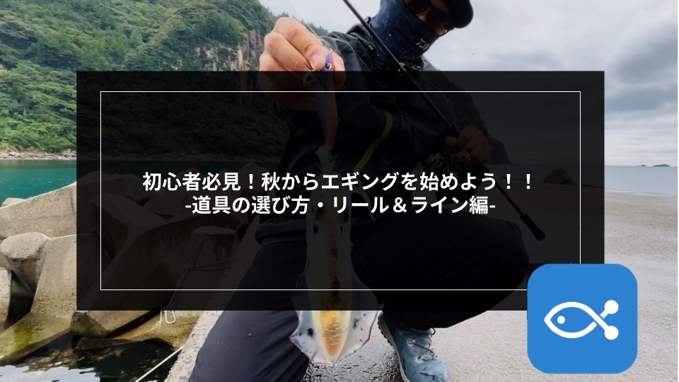 エギング】初心者必見！秋からエギングを始めよう！！ 〜道具の選び方