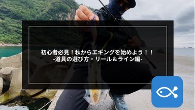 エギング】初心者必見！秋からエギングを始めよう！！ 〜道具の選び方・リール&ライン編〜 - アングラーズ | 釣果600万件の魚釣り情報サイト