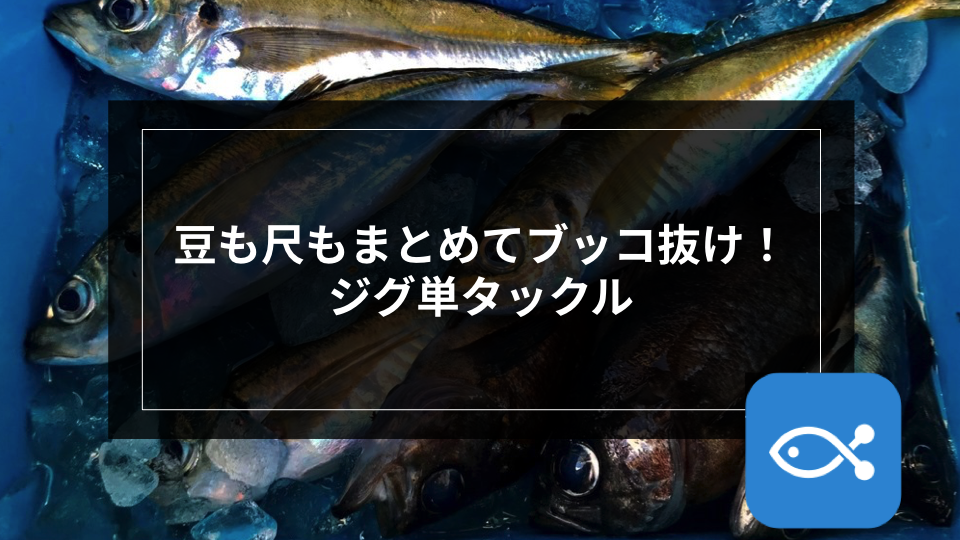 アジング】豆も尺もまとめてブッコ抜け！ジグ単タックル - アングラーズ | 釣果500万件の魚釣り情報サイト