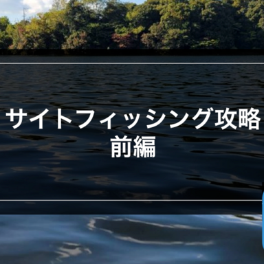 ブラックバス】超初心者用！リバースモールをドリフトで狙う時の注意点