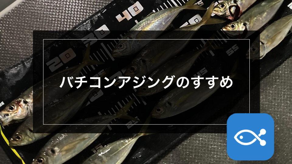 アジング】バチコンアジングのススメ。バチコンを始めてみよう