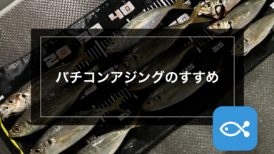 バチコンにも重宝 ティップエギングセット