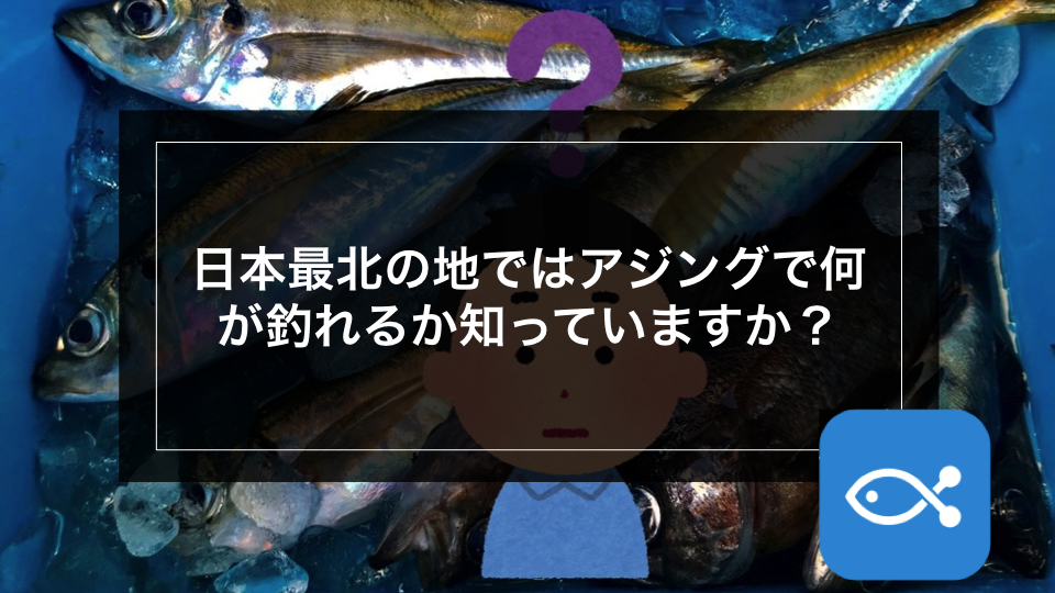 ライトゲーム】日本最北の地ではアジングで何が釣れるか知っていますか？ - アングラーズ | 釣果600万件の魚釣り情報サイト