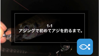 アジング】1-1アジングで初めてアジを釣るまで。 - アングラーズ