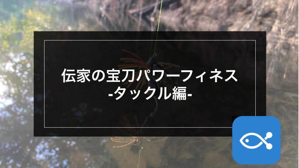 【ブラックバス】伝家の宝刀パワーフィネス-タックル編-