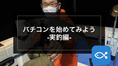 アジング】バチコンアジングのススメ。バチコンを始めてみよう-実釣編