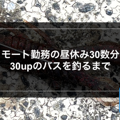 オフショア】はじめてのオフショアゲーム-シーバスの回