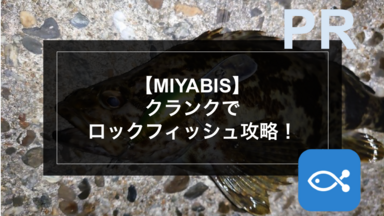 【MIYABIS】クランクでロックフィッシュ攻略