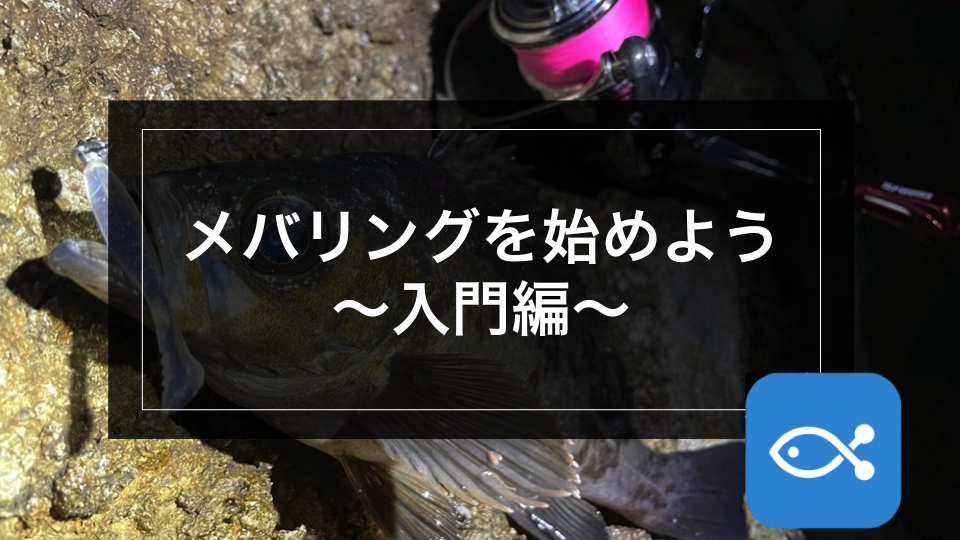 【メバリング】さあ！メバリングを始めよう〜入門編〜