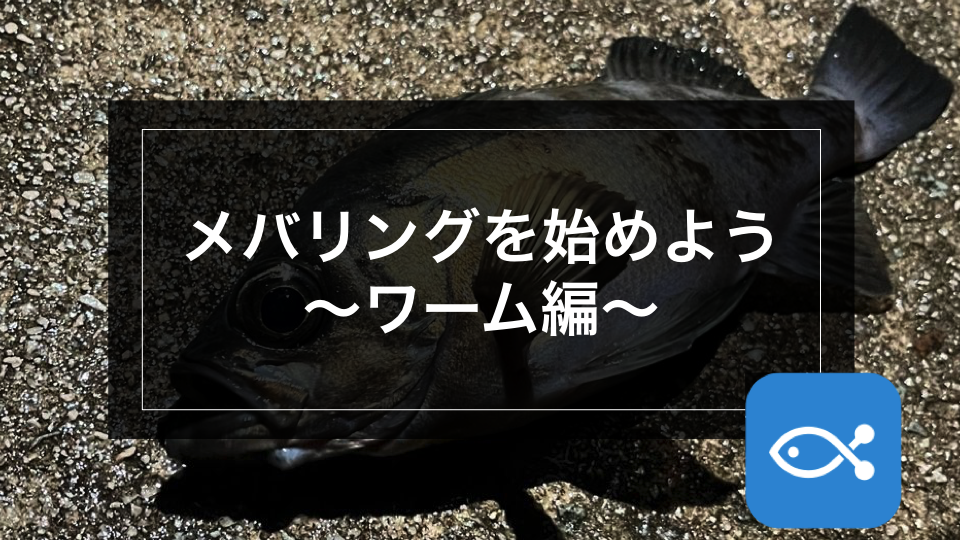 メバリング】さあ！メバリングを始めよう〜ワーム編〜 - アングラーズ