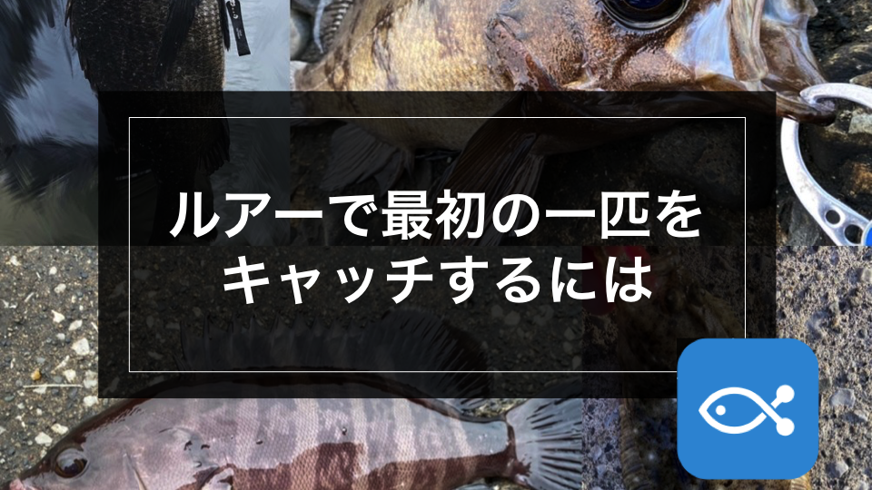 ライトゲーム】ルアーで最初の１匹をキャッチするには - アングラーズ