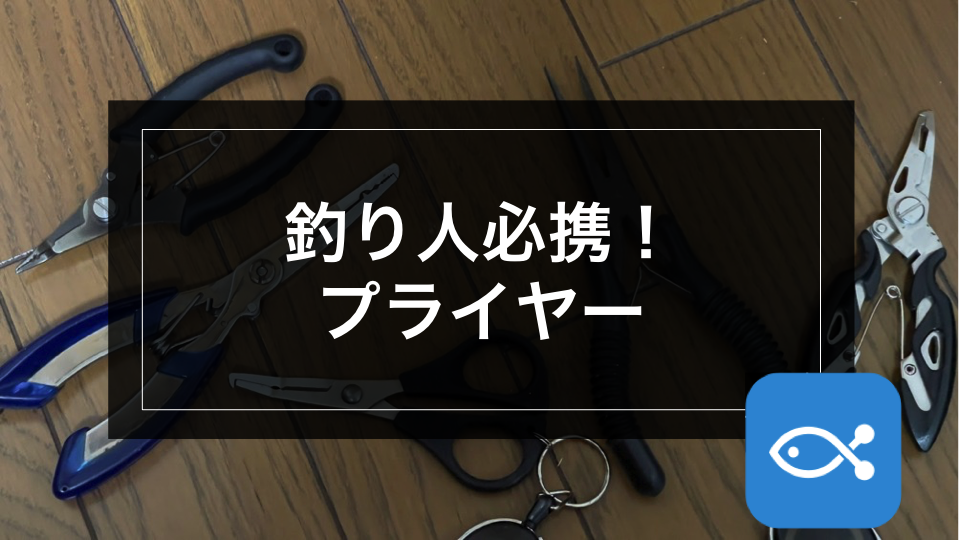 ブラックバス】釣り人必携！プライヤー - アングラーズ | 釣果400万件
