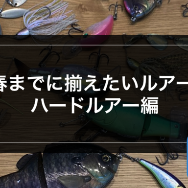 ルアーいろいろ(シーバス、ブラックバス、飾り等、おまけのリール) 高