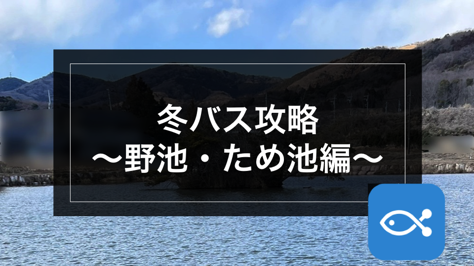 ブラックバス】冬バス攻略〜野池・ため池編〜 - アングラーズ | 釣果