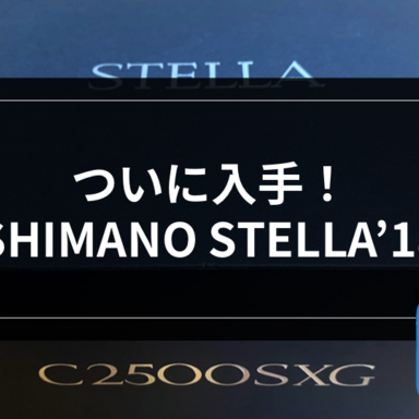 【ライトゲーム】ついに入手！SHIMANO STELLA’18