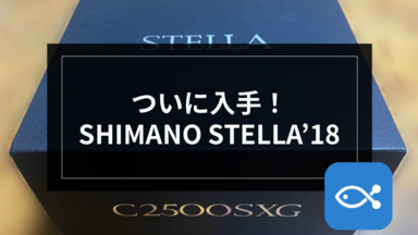 【ライトゲーム】ついに入手！SHIMANO STELLA’18