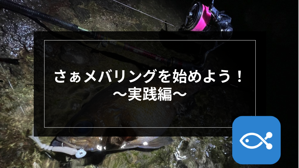 ライトゲーム】さぁ、メバリングを始めよう！ 〜実践編