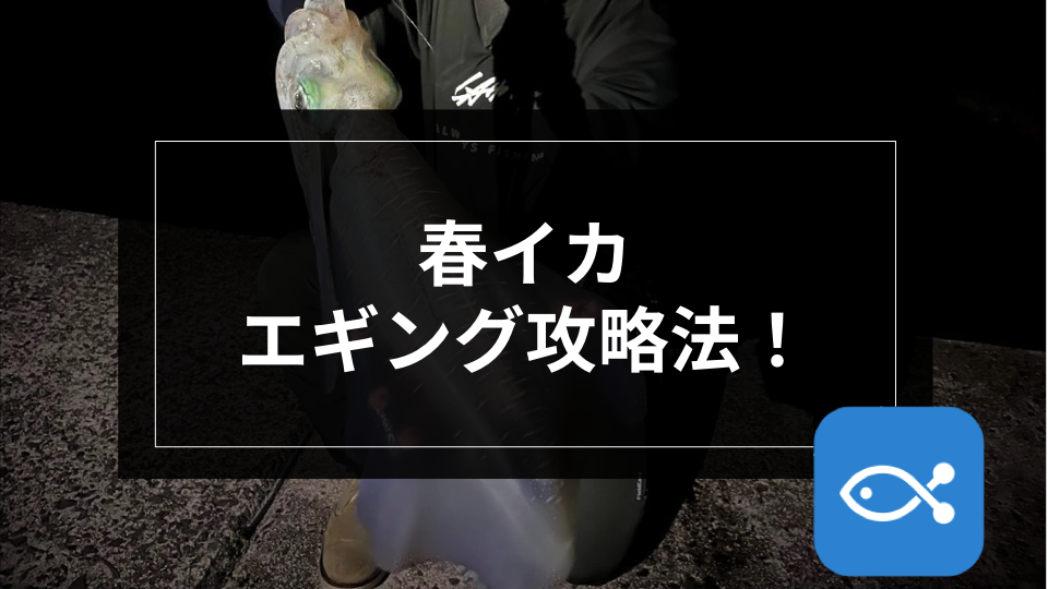 Shimano他 ルアー 疑似餌 バラ売可 どれでも 組み合わせ自由 最安値