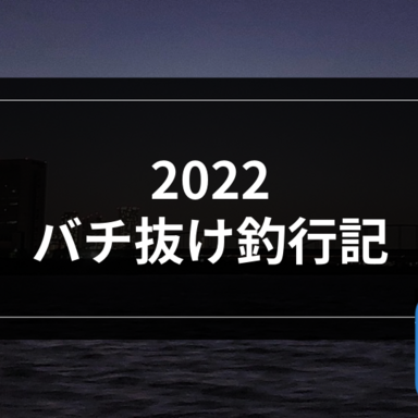 【シーバス】2022バチ抜け釣行記