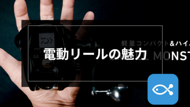 オフショア】電動リールの魅力 - アングラーズ | 釣果600万件の魚釣り