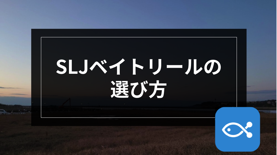 オフショア】SLJ用ベイトリールの選び方 - アングラーズ | 釣果