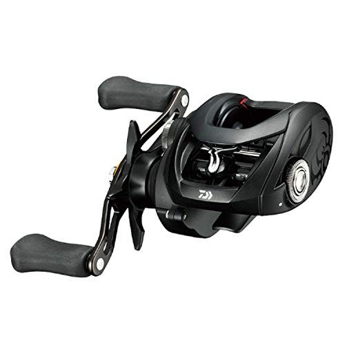 DAIWA 19タトゥーラ TW 100SH