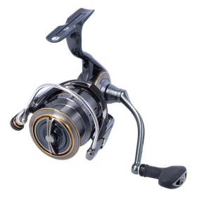 f3838906-e826-4aaf-8a41-