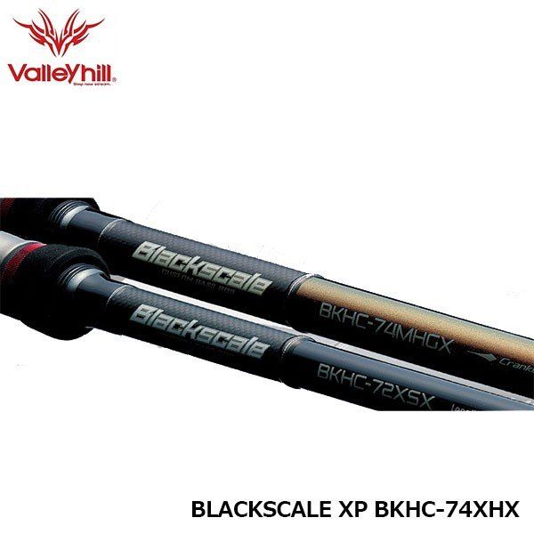 Valleyhill ブラックスケール 2013 BKRC-65ML