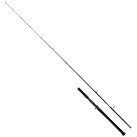 オフショアキャスティングタックル一覧 - | 446件 | 本音の口コミが