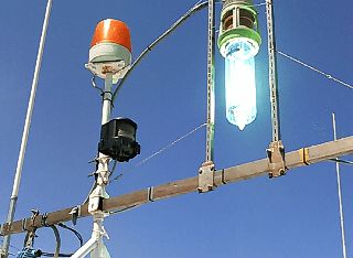 SUGURUMARU 5枚目の画像