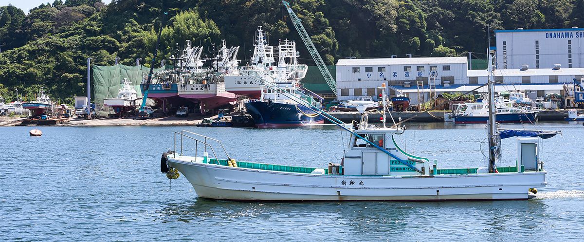 新和丸 1枚目の画像