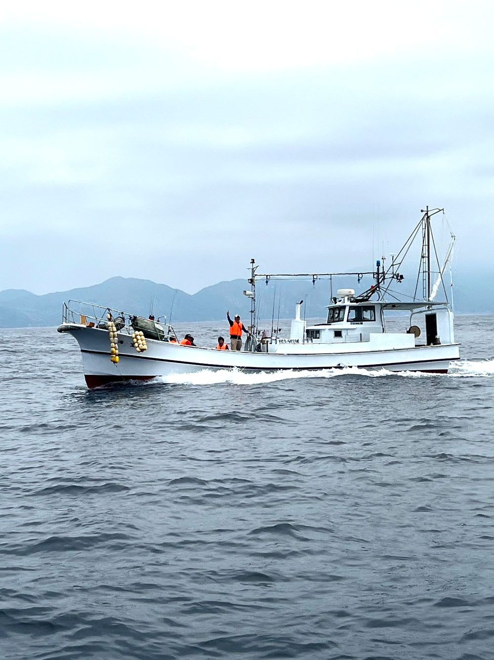海宝 1枚目の画像