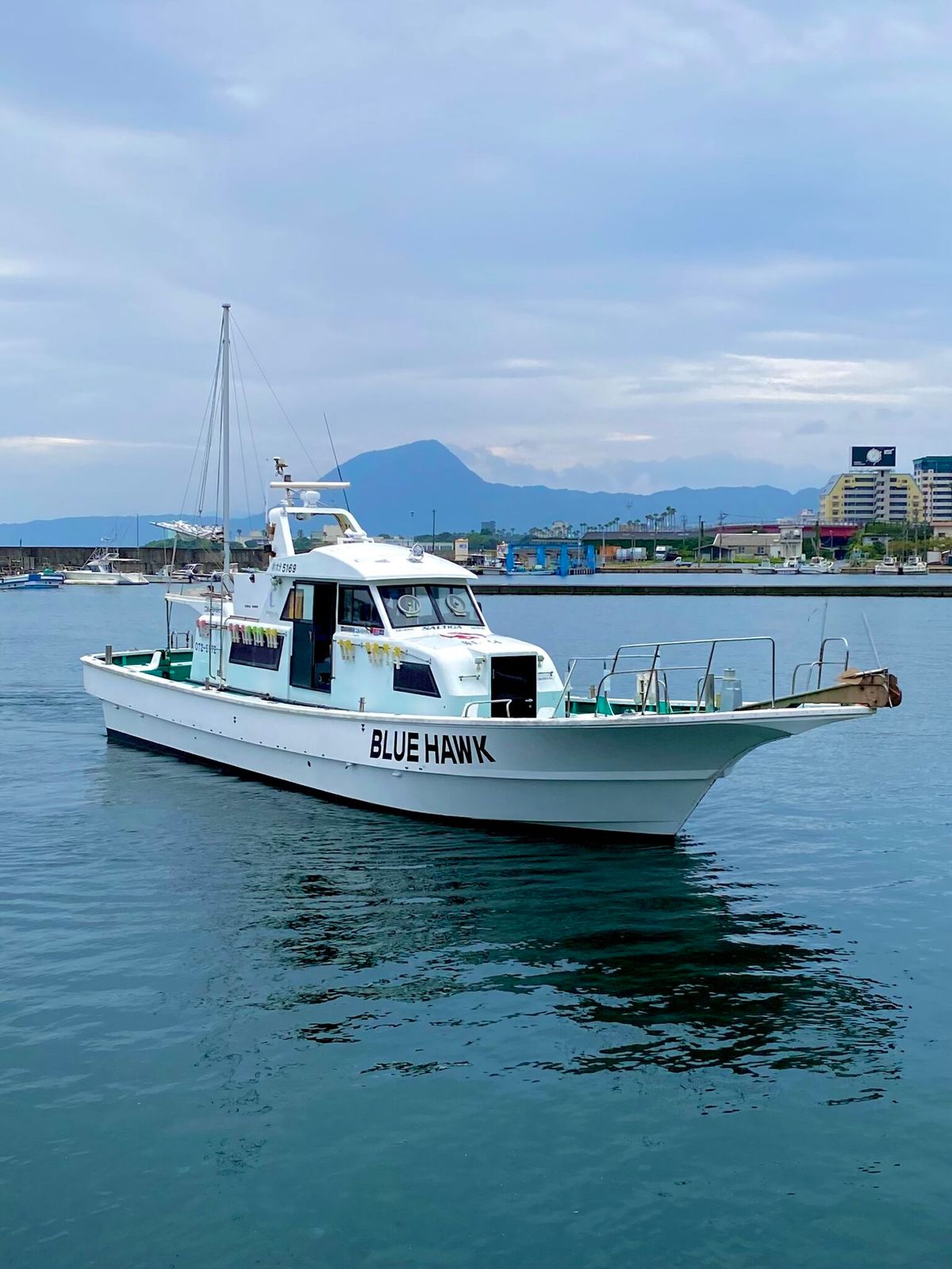 BLUE HAWK 1枚目の画像