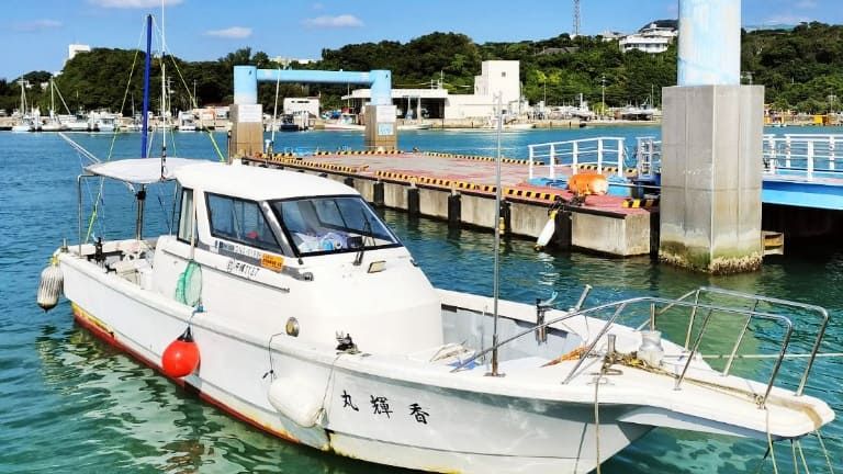 香輝丸 1枚目の画像