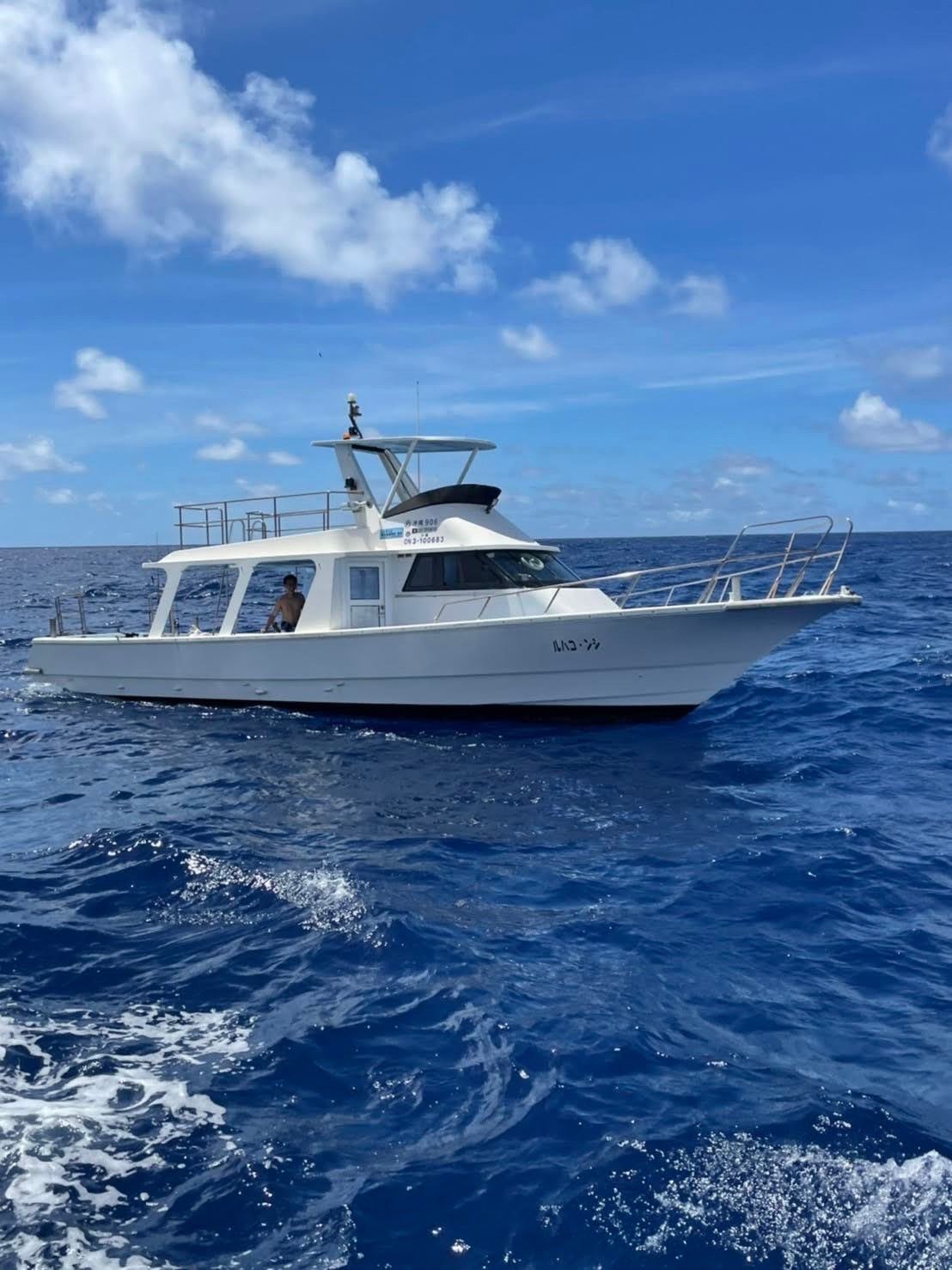 シンコハル 1枚目の画像