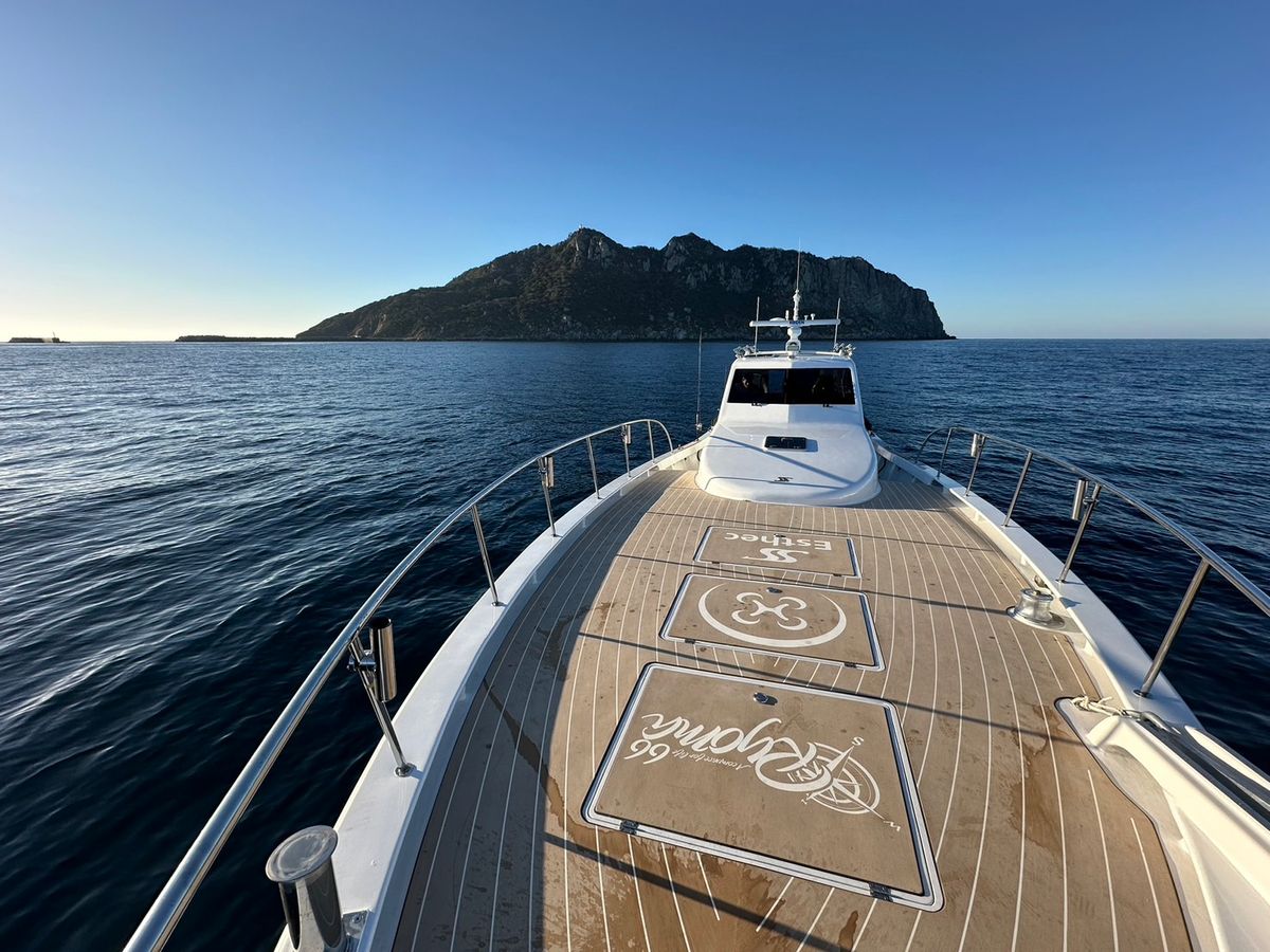 龍馬(Ryoma) 4枚目の画像