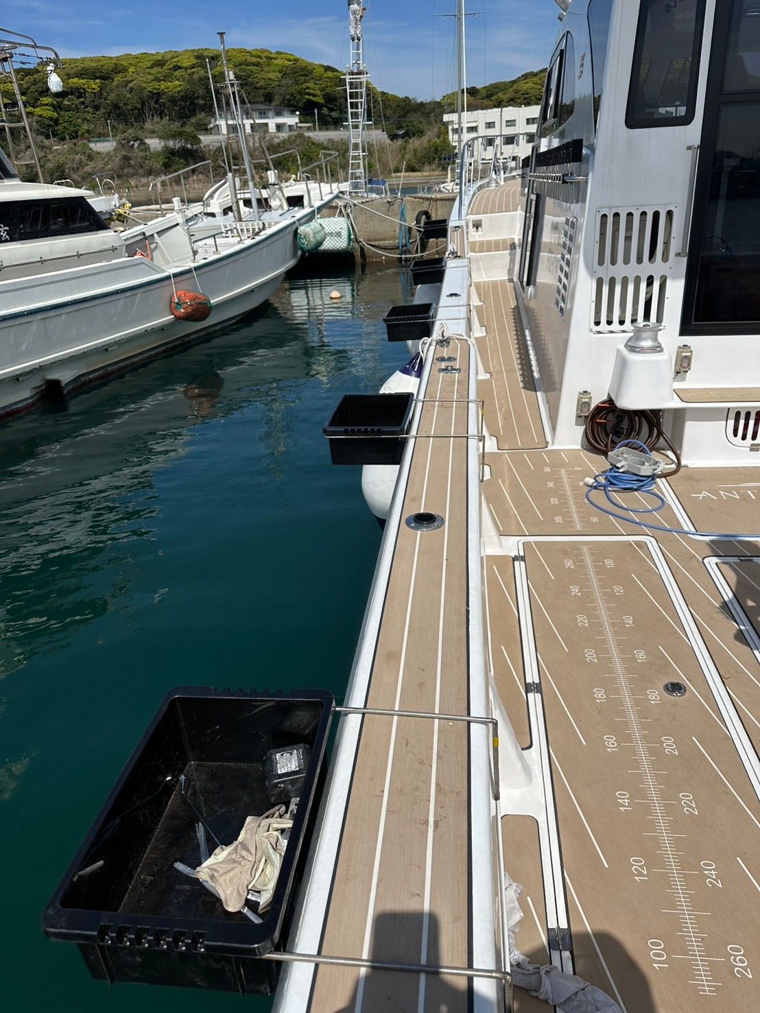 龍馬(Ryoma) 5枚目の画像