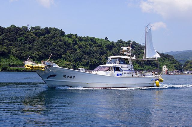 菜々海Ⅱ 1枚目の画像