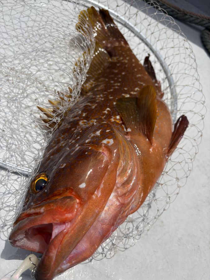 西宮丸 4枚目の画像