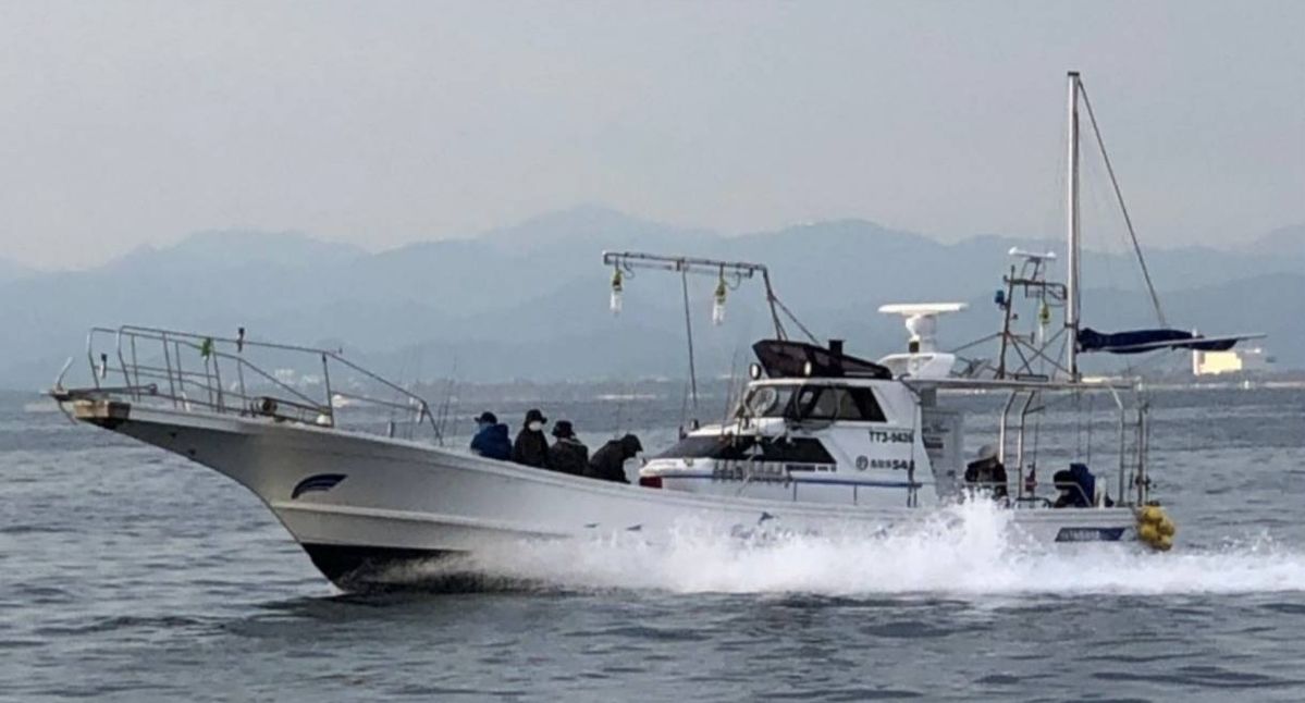 Bull Shark Ⅳ（ブルシャーク Ⅳ）