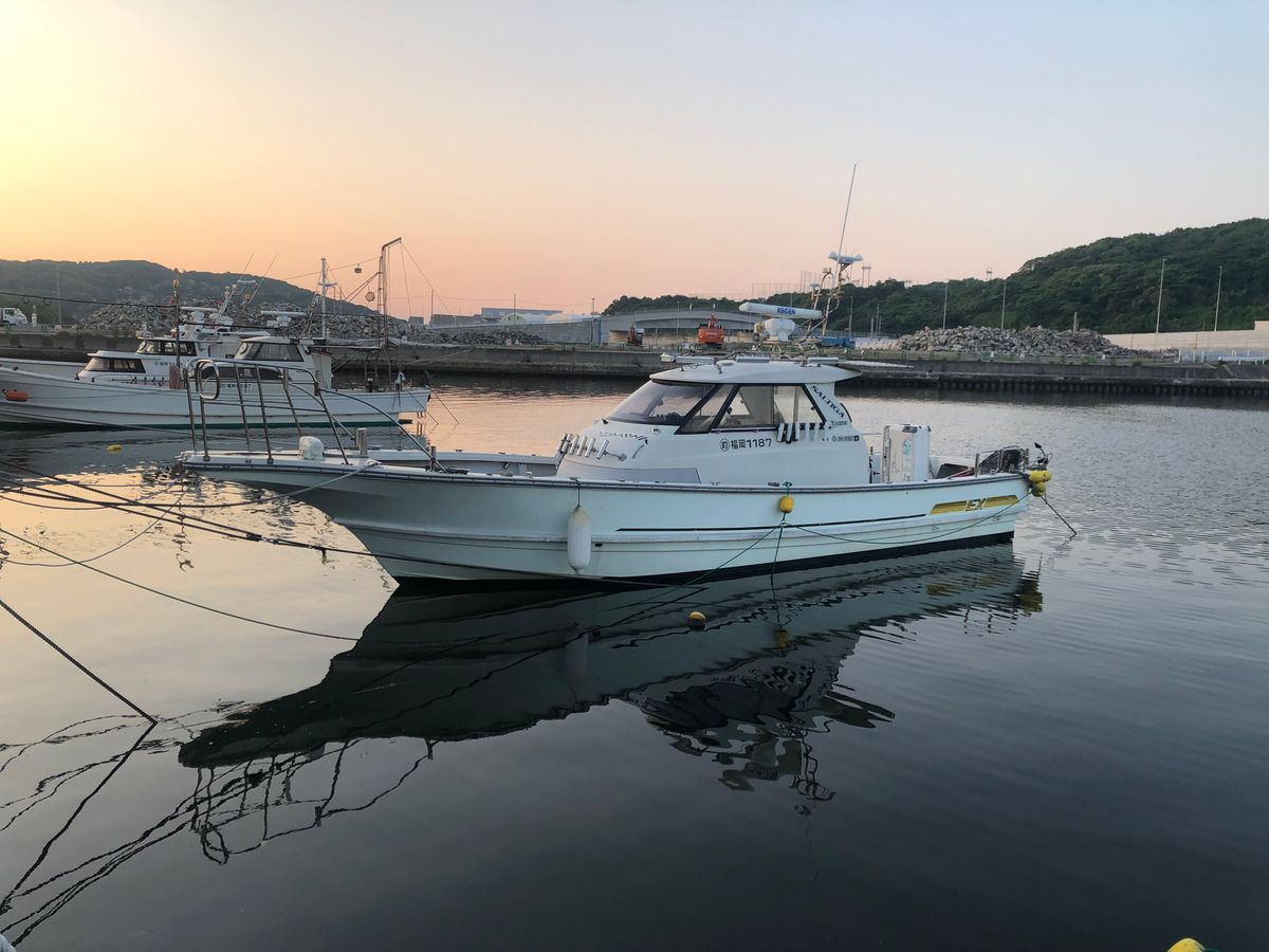 Falcon豊悦丸 1枚目の画像