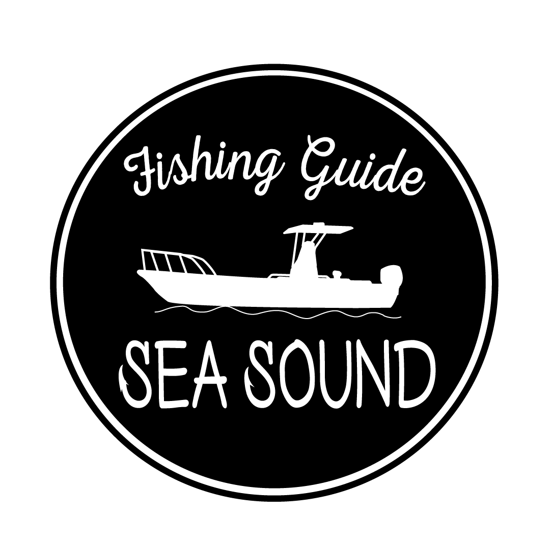 SEA SOUND（シーサウンド）