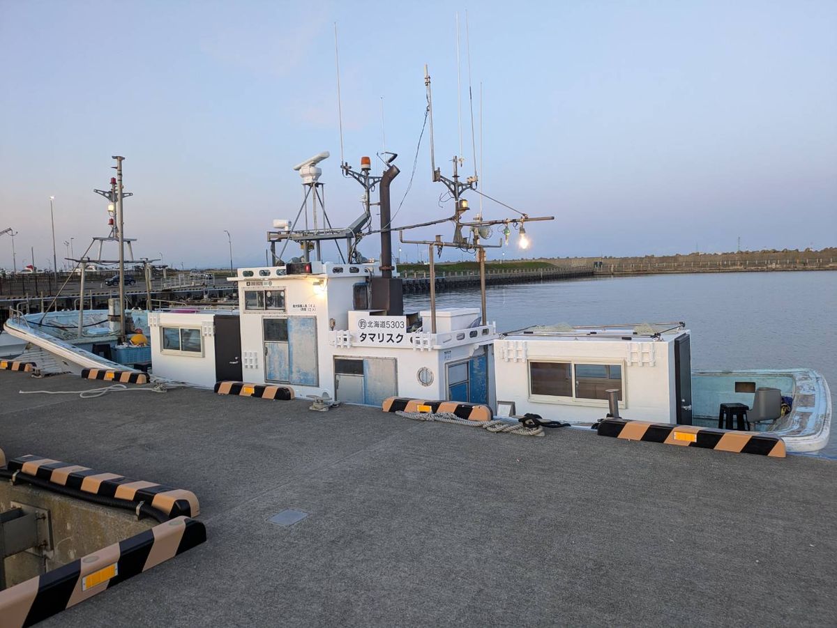 タマリスク 1枚目の画像