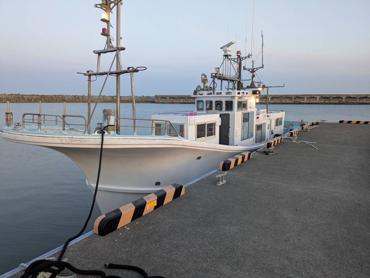 タマリスク 2枚目の画像