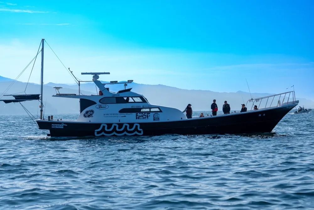 遊漁船クルーズ 1枚目の画像