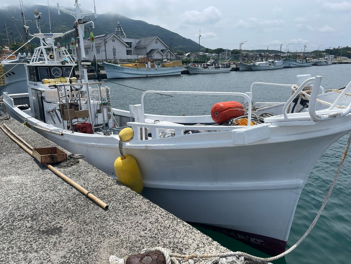 第二日光丸 1枚目の画像