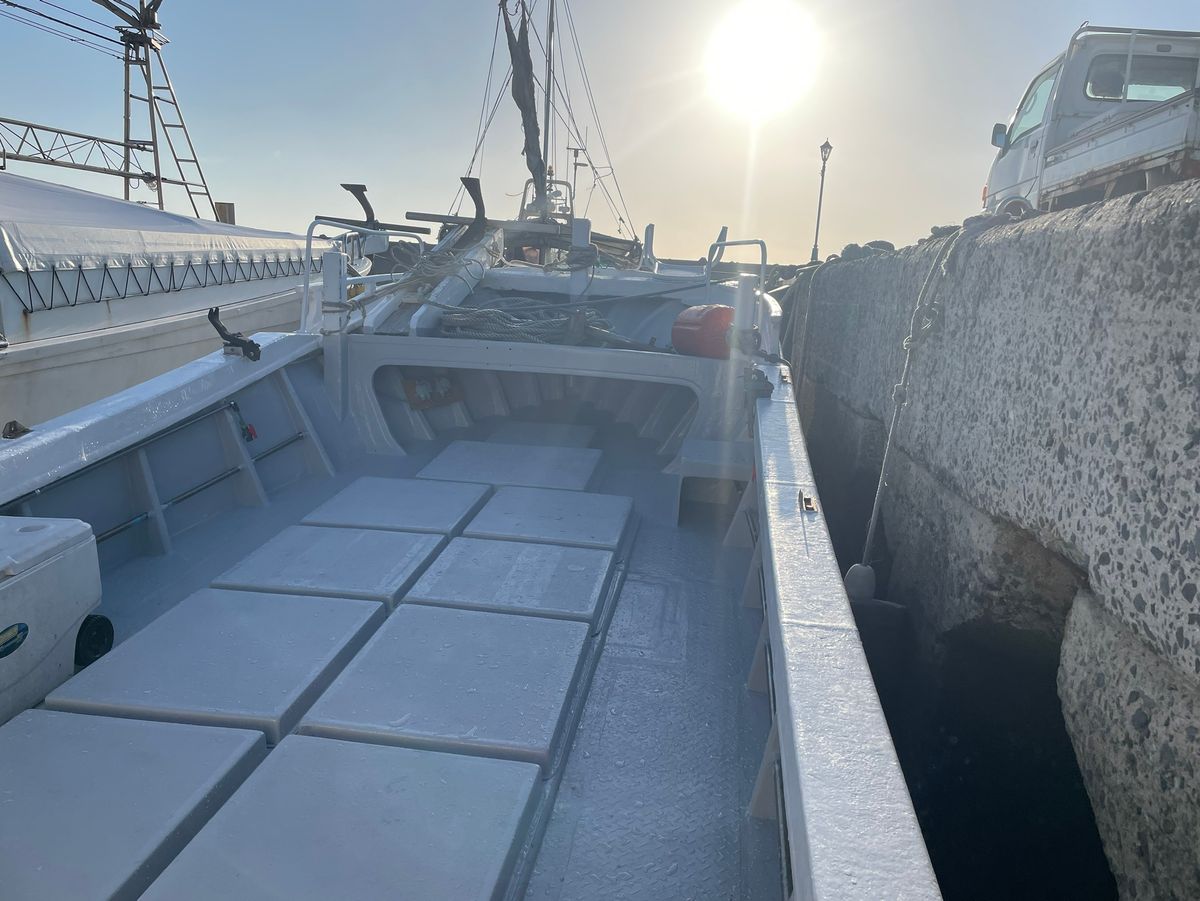 第二日光丸 2枚目の画像