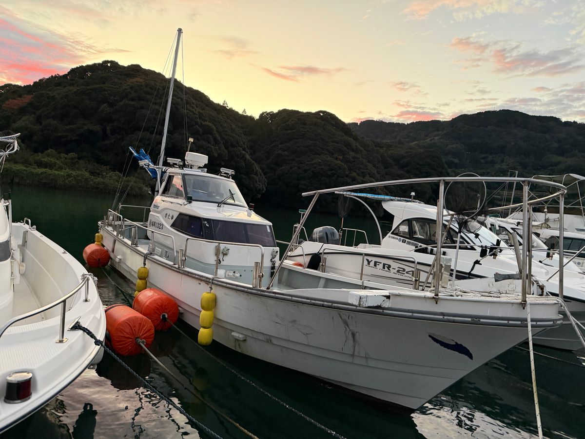 遊漁船 support（サポート） 1枚目の画像