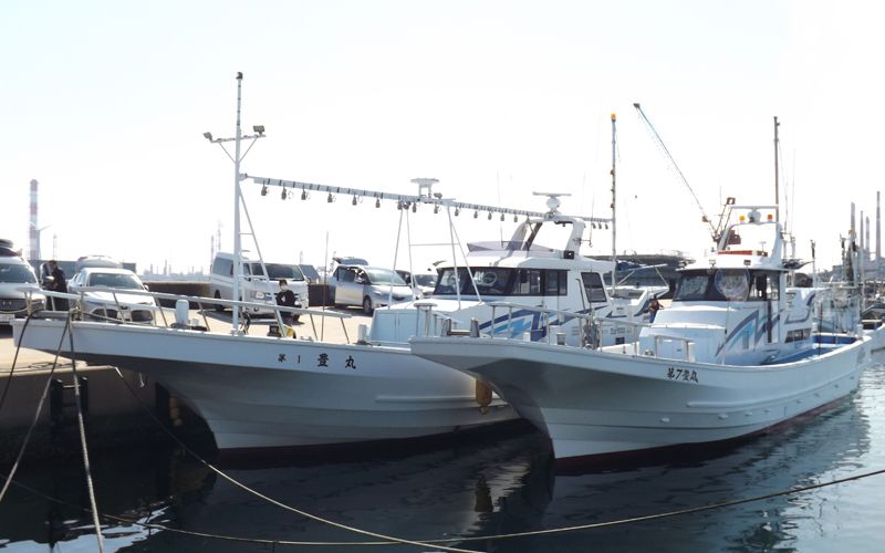 豊丸 5枚目の画像