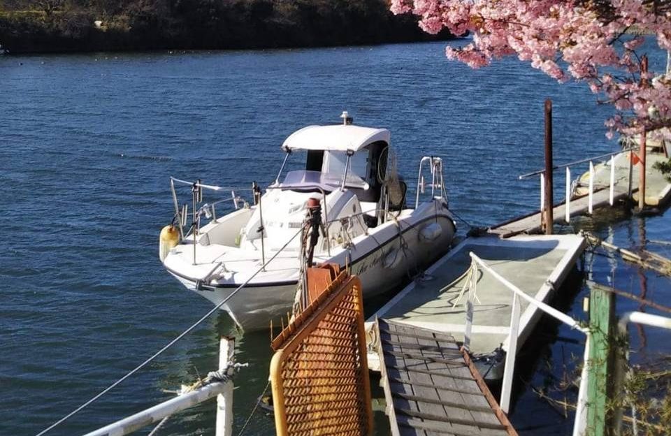 Seabutterfly（シーバタフライ） 1枚目の画像